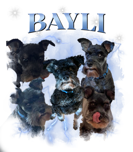 baily.png