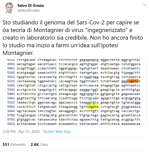 Immagine