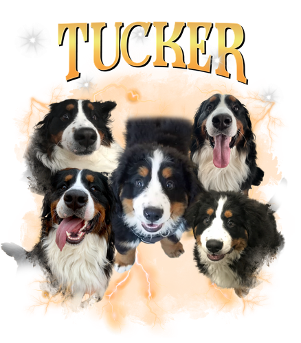 tucker 3.png