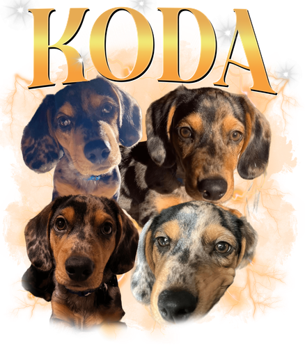 koda.png