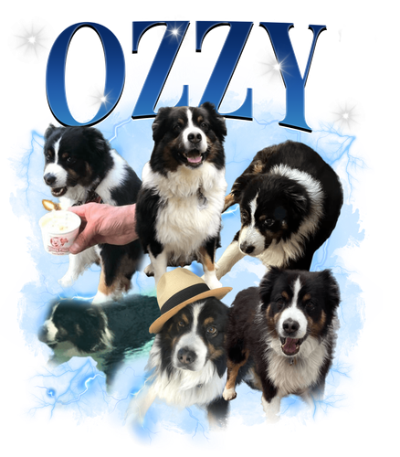 ozzzy.png