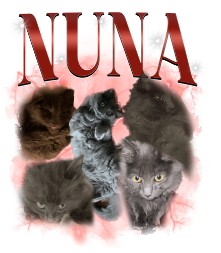 nuna.png