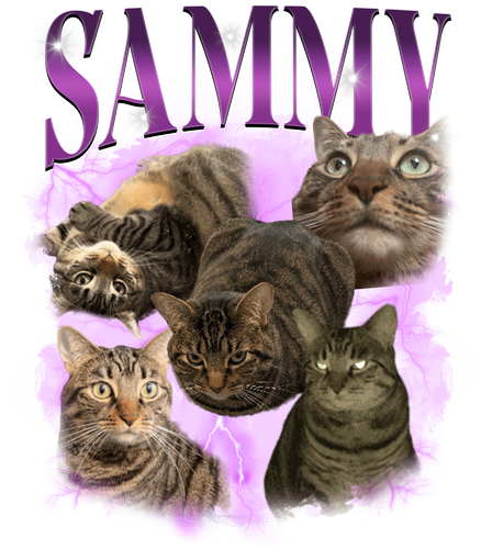 sammyt.png