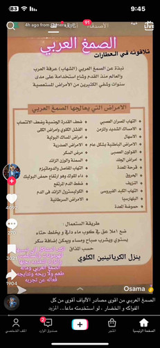 FD403E31 F11F 4BB7 B7A7 1820200F0029.jpg