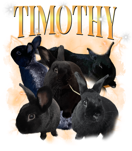 timthy.png