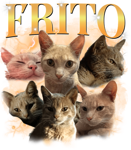 frito.png