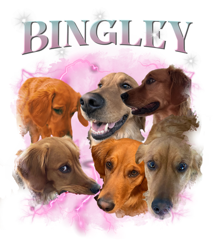bingley.png