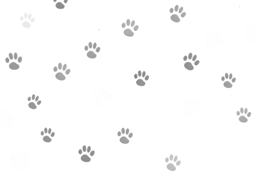 image from rawpixel id 12938204 png.png