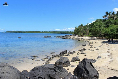 13099111 156023671462352 462644780 n d970b9a19a754cc9ecd9f9b6f7df74c6 e95043b9e6fb6af93bc2f8718392e2.jpg