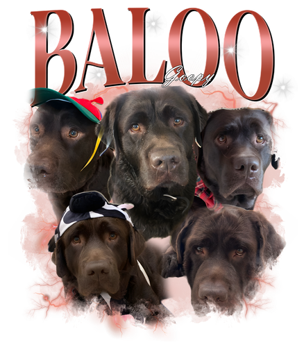 Baloo.png