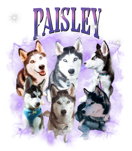 paisley.png