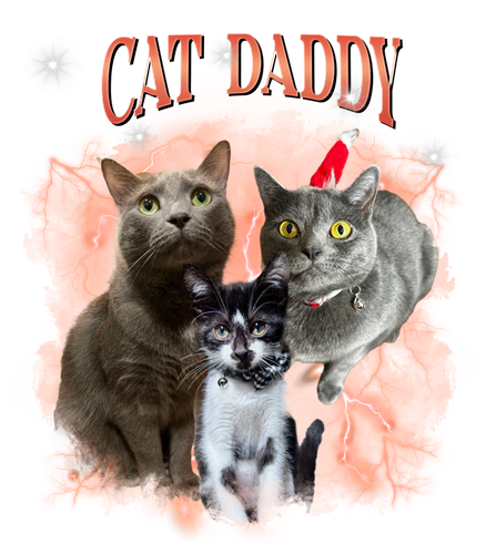 cat daddy.png