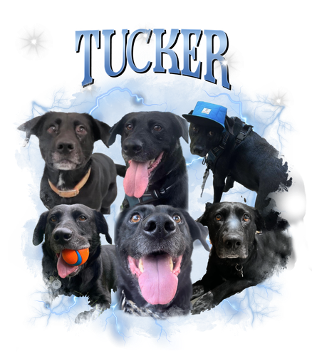 tucker.png