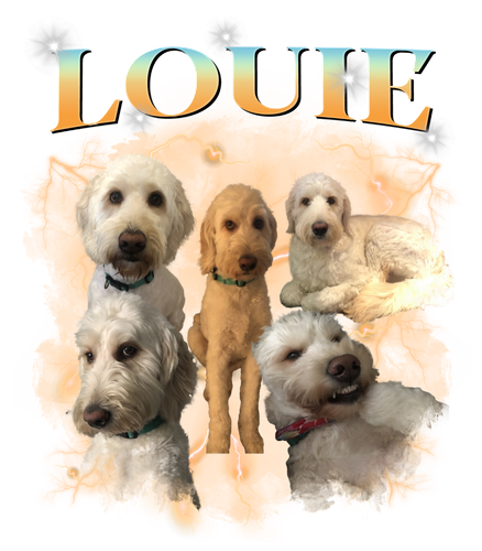 louie.png
