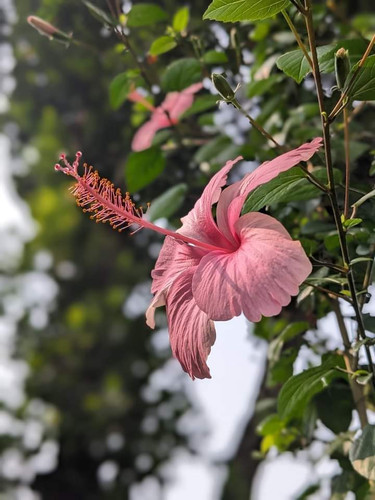 FB IMG 1701088051255.jpg