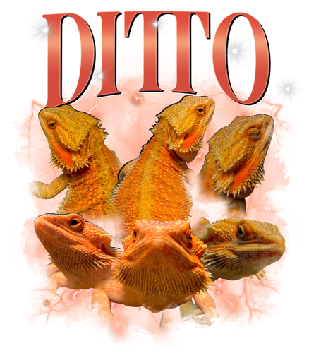 Ditto.png