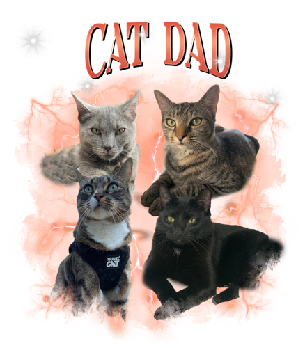 cat dad.png