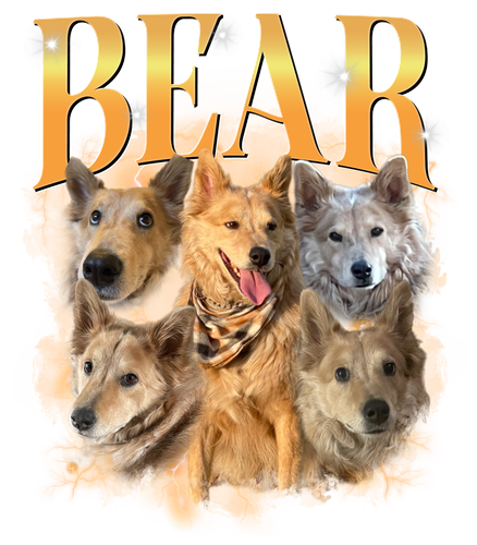 3130463922.png