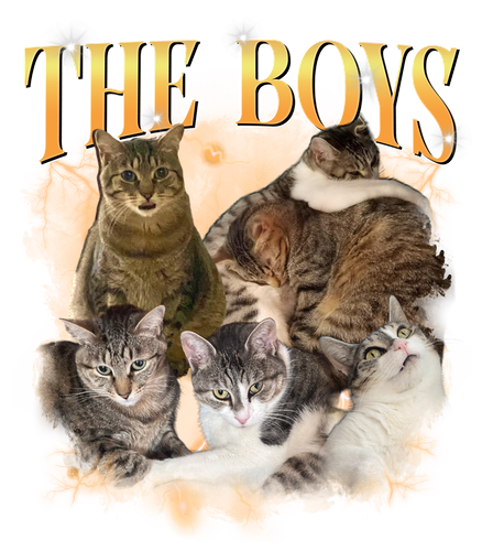 The boy's.png