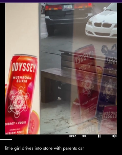 1702195466107.jpg
