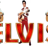 3dBnwwZsULTv (1).png