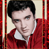 10Z89cge8err (1).gif