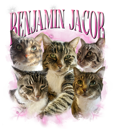 3123047755.png