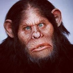 stupid ape (2).jpg