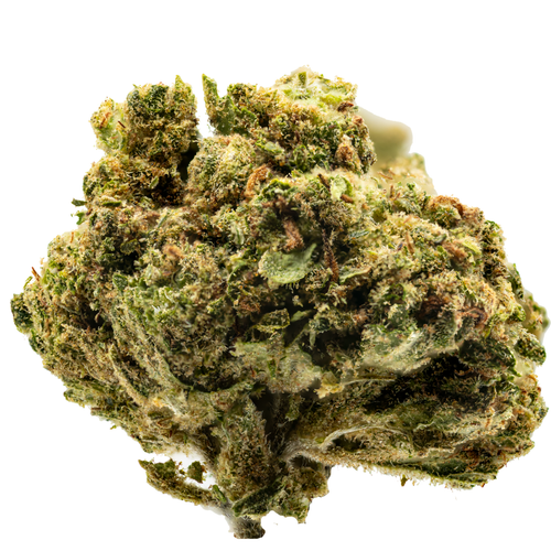 Jack Herer.png