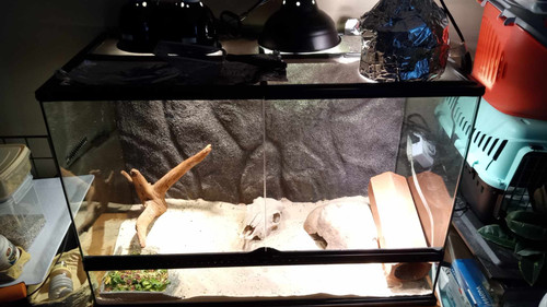 405441507 374334445086598 7371747355503474950 n.jpg