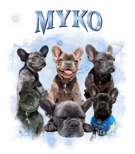 myko 4.png