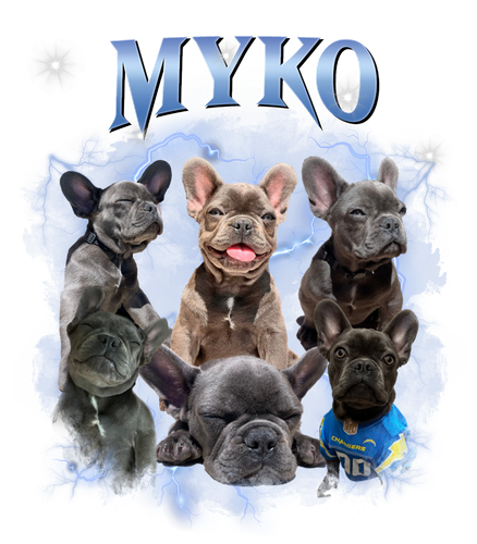 myko 9.png