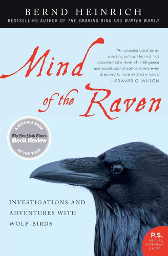 mind.of.the.raven.jpg