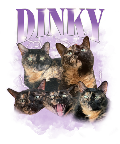 Dinky.png