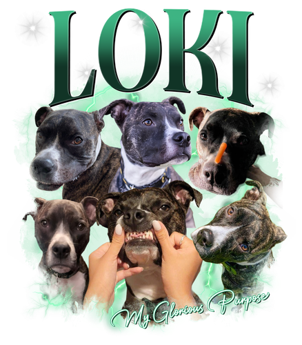 Loki 3123900092.png