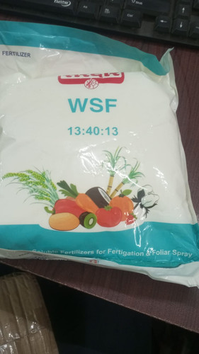 WSF.jpg