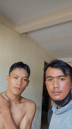 bvv88.jpg