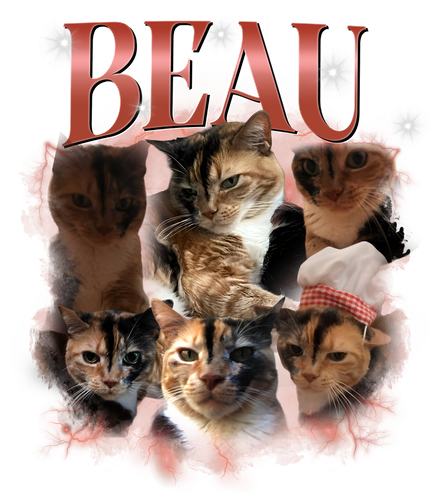 Beau.png