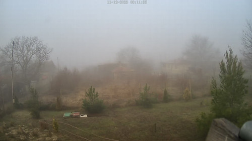 IMG 5217.jpg
