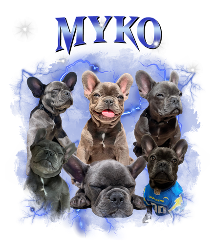 myko.png