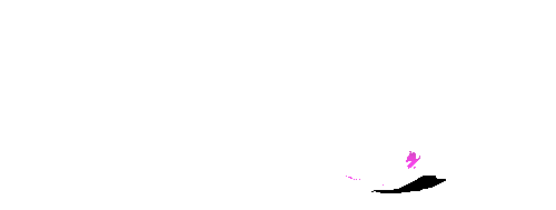 sarangslot.gif