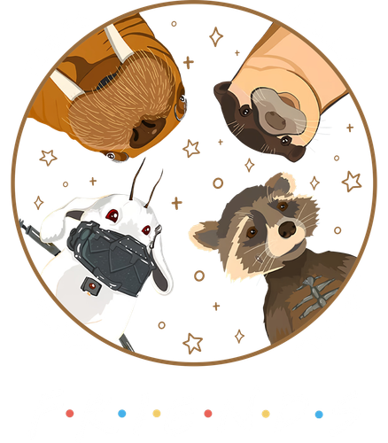 Rocket Raccoon And Friends1.png