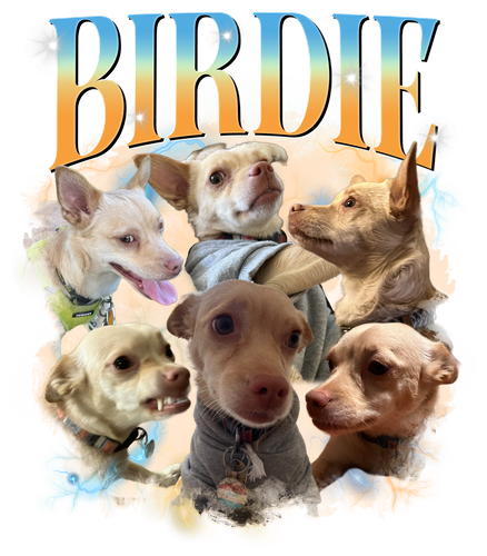 Birdie 3118705535.png