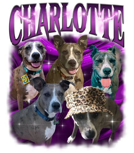 Charlotte 3125036845.png