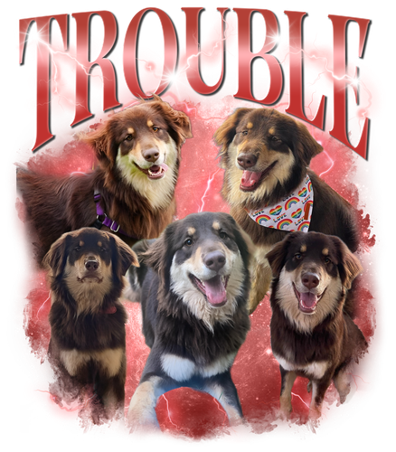 TROUBLE 3129413924.png