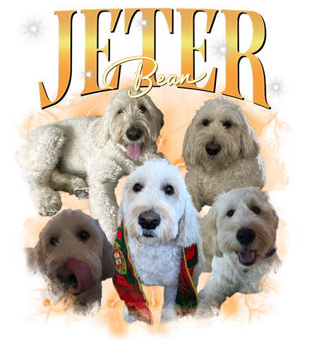 Jeter 3133063358.png