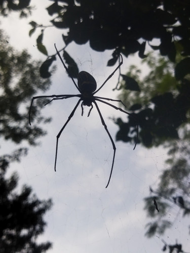 IMG 20231023 152751.jpg