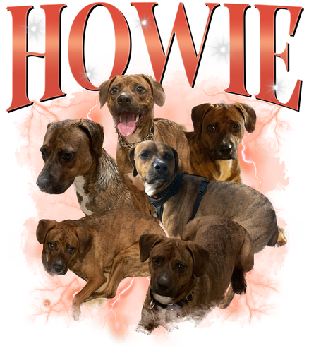 HOWIE.png