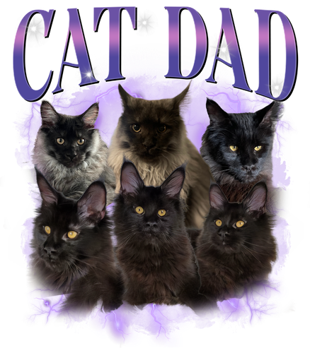 cat dad.png