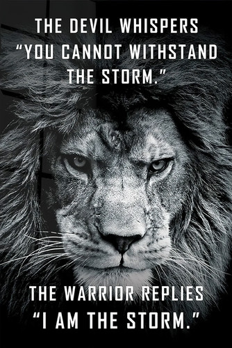 I Am The Storm Motivational Quote Poster 9676x14476.jpg